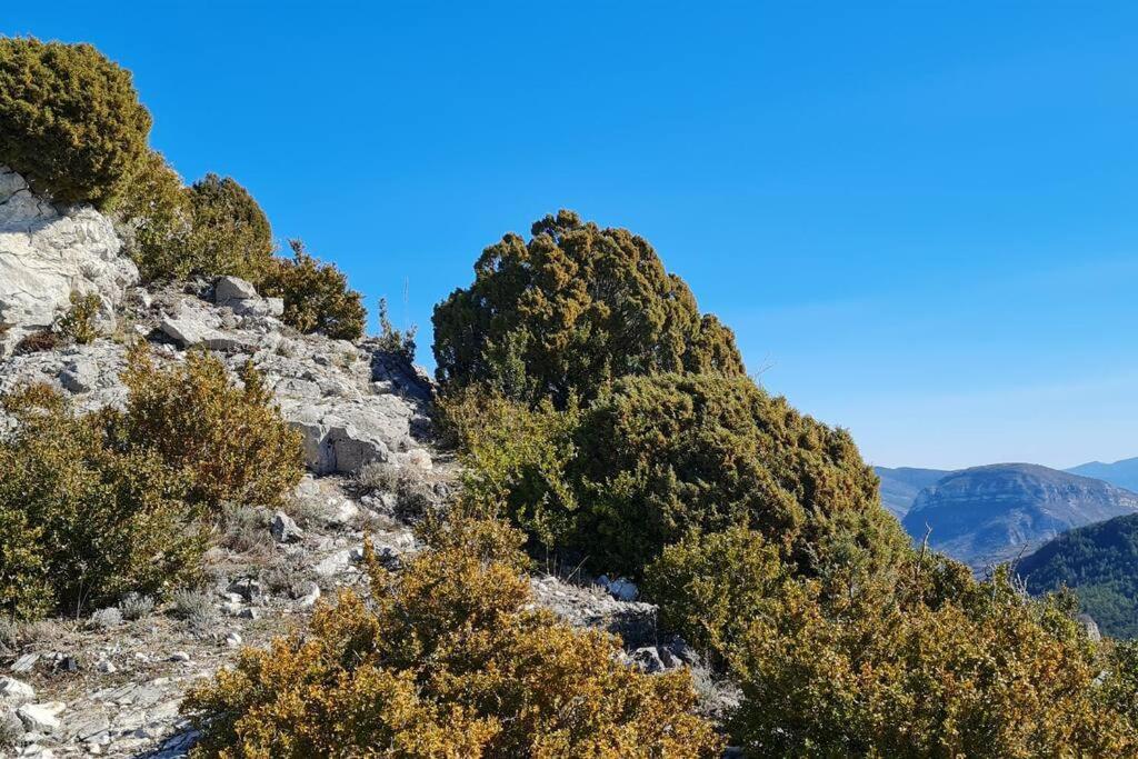 Appartement rez-de-jardin Jas des Baronnies Curnier Buitenkant foto